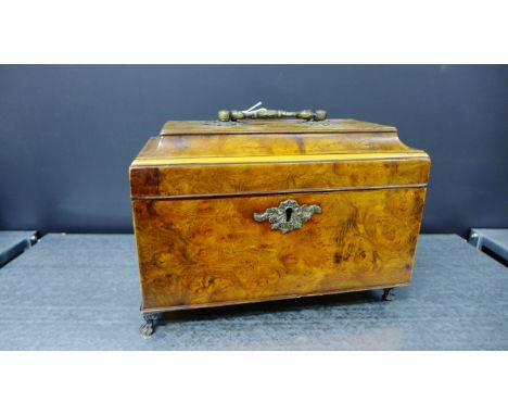 19th century burrwood sarcophagus shaped caddy, with brass handle and escutcheon on four scroll feet