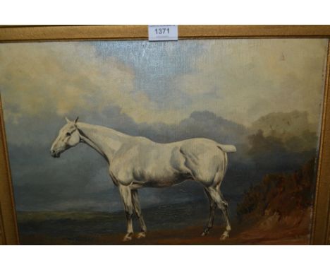 Oil on canvas board, portrait of a white horse in a landscape, signed ' Harsley ', dated 1901, 13.5ins x 17ins 