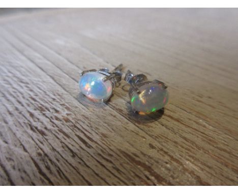 Pair of Ethiopian opal stud earringsEstimate of £50 - 80. These are 925 silver. 