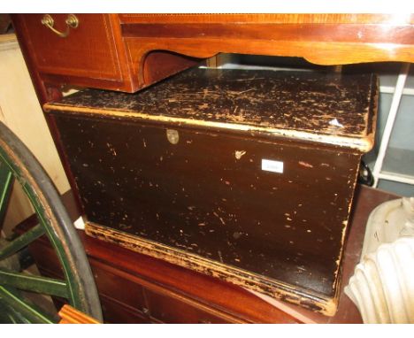 19th Century rectangular stained pine trunk 