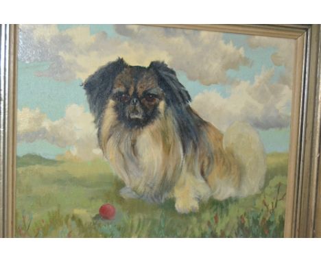 David Vivians, signed oil, portrait of a Pekinese in a landscape, 14ins x 17ins 