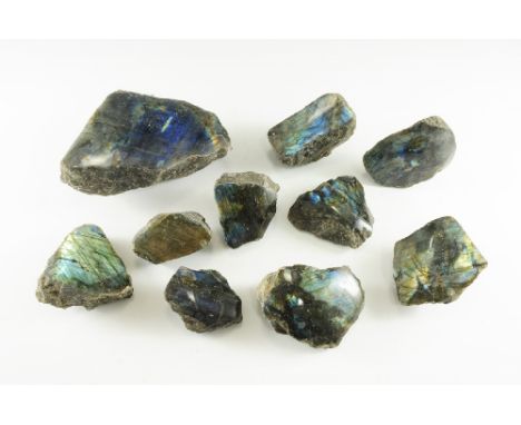 . Group of labradorite mineral specimens, one of particularly large size, each with one major face polished to show the struc