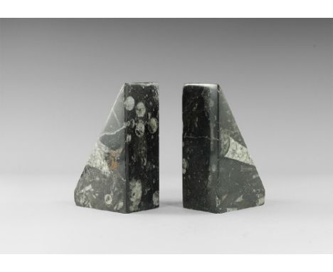 Lower Jurassic Period, 199-175 million years BP. A matched pair of book ends forming a triangle, made from polished matrix co