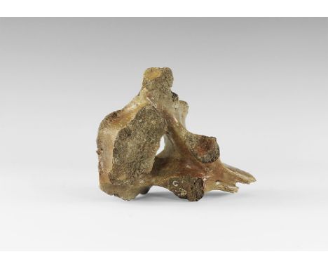 Late Pleistocene Period, 1.5 million-7,700 years BP. A woolly rhinoceros vertebra Coelodonta antiquitatis from Brown Bank, Lo