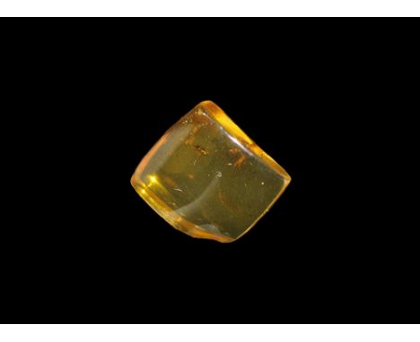 Oligocene Period, 45 million years BP. A piece of Baltic amber containing a fly and an ant with other inclusions. 2.19 grams,