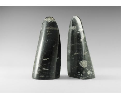Lower Jurassic Period, 199-175 million years BP. A matched pair of book ends forming a cone, made from polished matrix contai