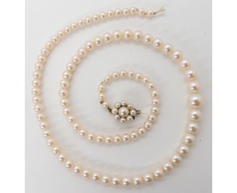A string of cultured pearls with nice lustre and a 9ct pearl flower shaped clasp, stringing (af) length 42.5cm Condition Repo