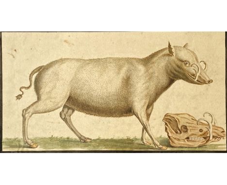 Johann Elias Ridinger: Ulm 1698 - 1767 Augsburg. Bedeutender Tier- und Jagdmaler, Genreszenen, Figuren, Grafiker.  Schüler u.