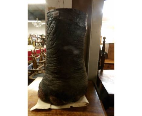 A Victorian elephant foot umbrella stand, height 66cm, base width 40-48cm top with 31 cm. (please be aware that if this item 