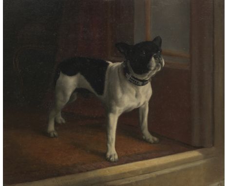 W. Cheesman (British, early 20th Century)A French bulldog, Millicent (The Duchess of Sutherland's first pet dog in the 1890s)