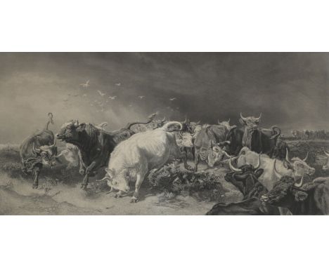 After Henry William Banks Davis, RAA large engraving of charging cattle52.5 x 106cm (20 11/16 x 41 3/4in).together with three
