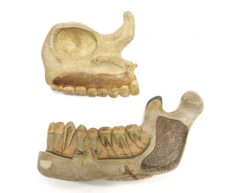 Anatomical Model Of Human Upper And Lower Jaw made of rubber with internal details and numbered areas lower jaw approx 9", 23