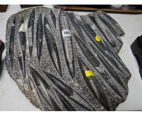 An interesting large natural fossil sculpture