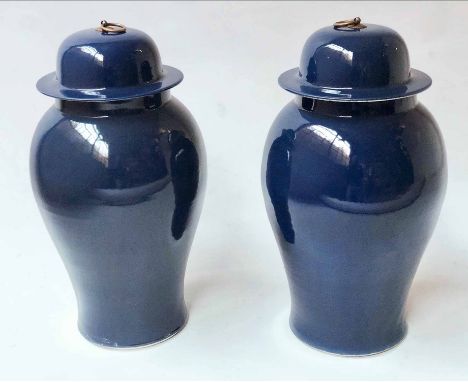 TEMPLE JARS, a pair, Chinese violet blue ceramic ginger jar form with lids, 53cm H. (2)
