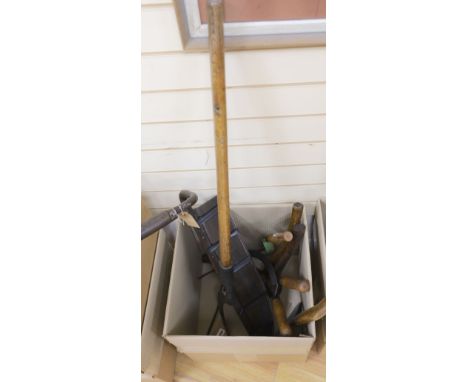 Assorted gardening tools