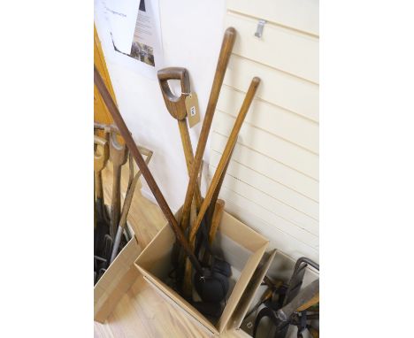Assorted gardening tools