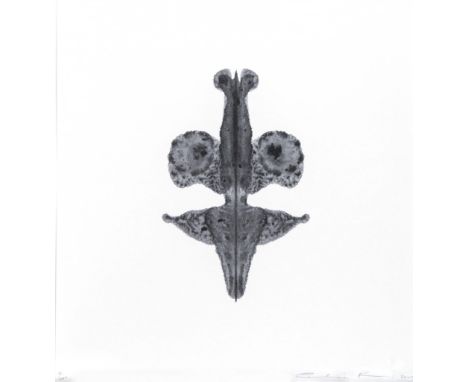 Cornelia Parker (b.1956) - Pornographic Drawing lithograph, 2000, signed and dated in pencil, numbered 8/200, published by Se