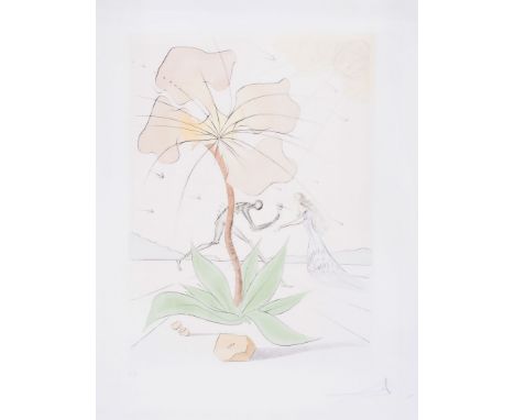 Salvador Dalí (1904-1989) - Reuben (M.&L.620;F.72-6) etching with stencil printed in colours, 1973, signed and inscribed EA i