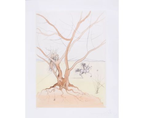 Salvador Dalí (1904-1989) - Asher (M.&L.626;F.72-6) etching with stencil printed in colours, 1973, signed and inscribed EA in