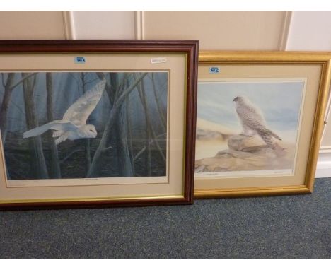 'Night Ghost Hunter' limited edition print signed P Cousins 1993 and 'Artic Prince - Gyr Falcon' limited edition colour print
