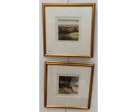 A pair of Kathleen Caddick landscape etching, each hand-signed &amp; numbered, impressions 15 x 15 cm (2)