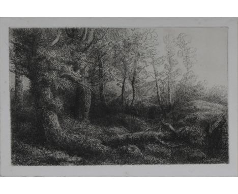 A. Legros etching, A Woodland Study. An original plate. The studio. unframed. Size 9.5"x 13"