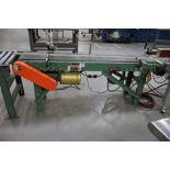 Roach 12' x 6' Power Conveyor