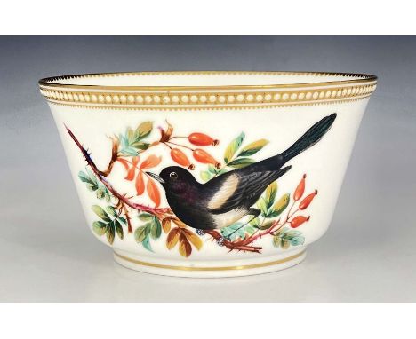 John Hopewell for Royal Worcester, a bird painted bowl, decorated with a magpie on rosehip branch, the reverse with further b