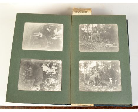 An album of photographs, tiger hunting in India, working elephants, etc.