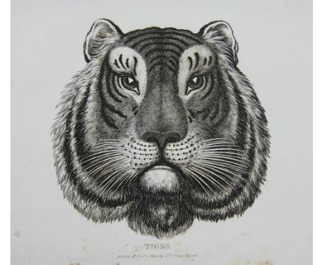 HOWITT (S), GROUPS OF ANIMALS, complete with engraved portrait plate and full page plates, includes dogs, cats, horses and an
