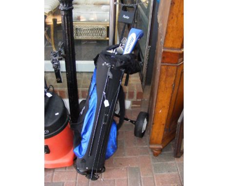 Wilson, Callaway and other golf clubs in bag on caddy stand 