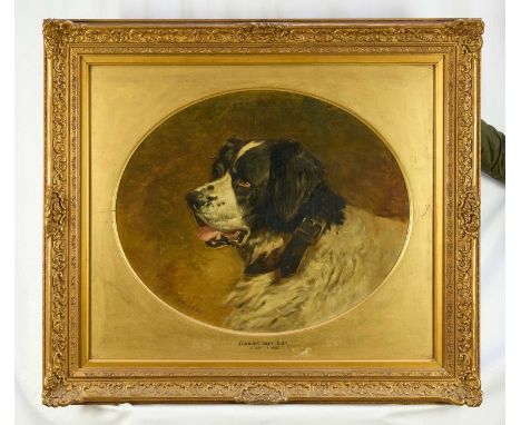 Charles Grey (1808-1892) oil on canvas - Portrait of a St. Bernard, signed, 48.5cm x 59cm, oval, in glazed gilt frameThe canv