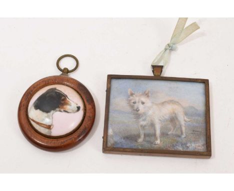 Annie F Shenton - Edwardian miniature on ivory of a dog, signed and dated 1907, 5.5 x 7cm glazed frame, and a portrait on por