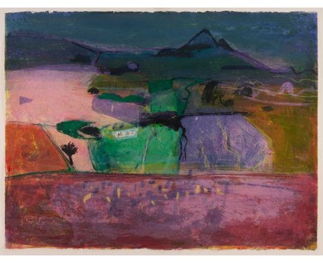 *Barbara Rae CBE, RA (b.1943) print - The Karoo, South Africa, signed and numbered 35/36, in glazed frameNumbered lower left,