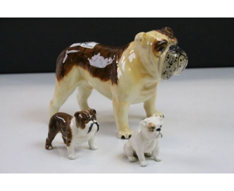 Three Beswick ceramic models of British Bulldogs to include a large example marked "Ch. Basford British Mascot", stands asppr