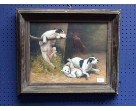 Gilt framed oil painting study of Three Terriers playing in a barn, 28x35.5cm