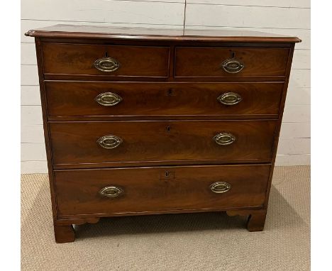 A two over three chest of drawers with brass handles on bracket feet (H98cm W111cm D56cm)