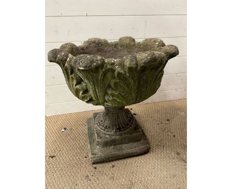 A tulip urn planter (H50cm Dia48cm)