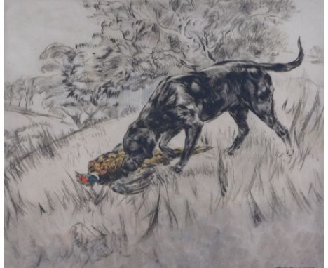Henry Wilkinson (1921-2011). Gun dog with pheasant, artist signed coloured etching, 33/100, 28cm x 32cm.