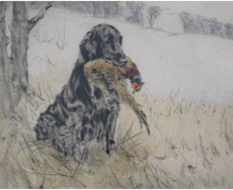 Henry Wilkinson (1921-2011). Gun dog and pheasant, artist signed coloured etching, 87/120, 27cm x 32cm.