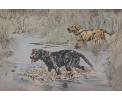 Henry Wilkinson (1921-2011). Gun dogs, artist signed coloured etching, 2/250, 27cm x 36cm.