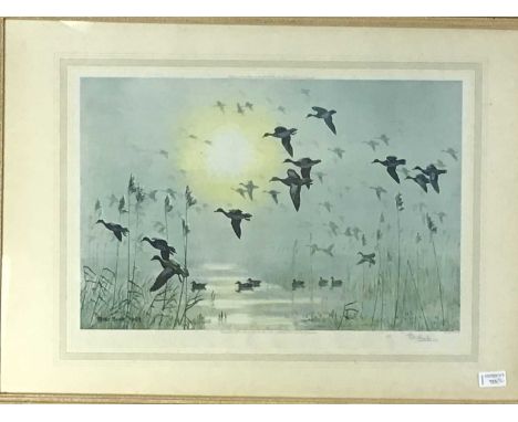 PETER SCOTT, BIRDS IN FLIGHT signed print, along with another print, each framedbirds in flight 57cm  80cmQty: 2