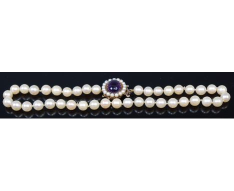 A cultured and knotted pearl single string choker, having large cabochon amethyst and seed pearl set 9ct gold clasp, 39cm