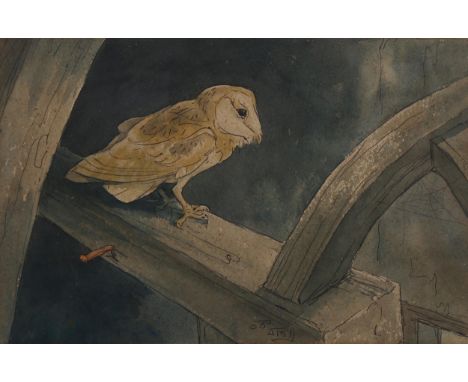 Watercolour and ink, barn owl in rafters, indistinctly signed, 18cm x 28cm, framedA few very light fox marks, mount damp stai