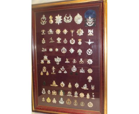 A framed display of 65 various anodised aluminium military cap badges and insignia including Bermuda Artillery, 16th Queens L