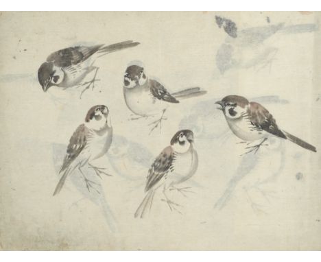 Japan - Ornithologie - Maeda - - Ornithologisches Manuskript mit 58 meist farbigen Vogelgouachen und 5 botanischen Illustrati