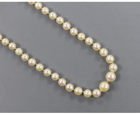 A singe strand graduated cultured pearl necklace, with 9ct clasp, 56cm (a.f.).