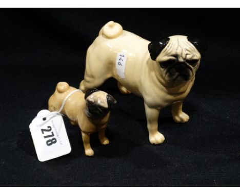 Two Beswick Model Pugs, Models 1997 And 1998 Both Gloss Finish