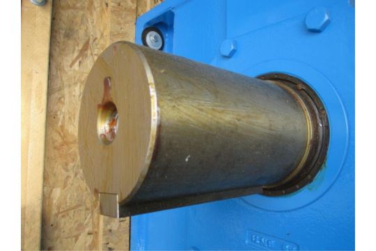 D 093 Penig Germany Unused