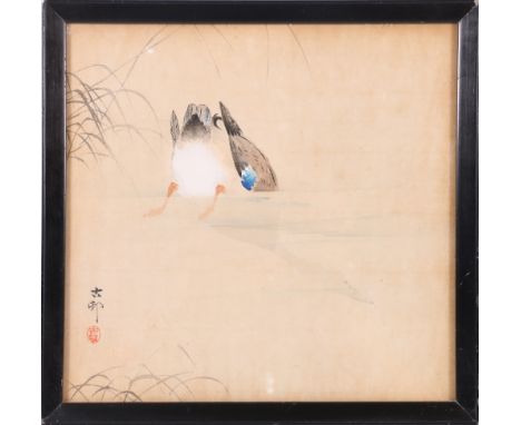 Ohara Koson, Japanese print of a diving duck, and another print of a bird amongst reeds. (2)